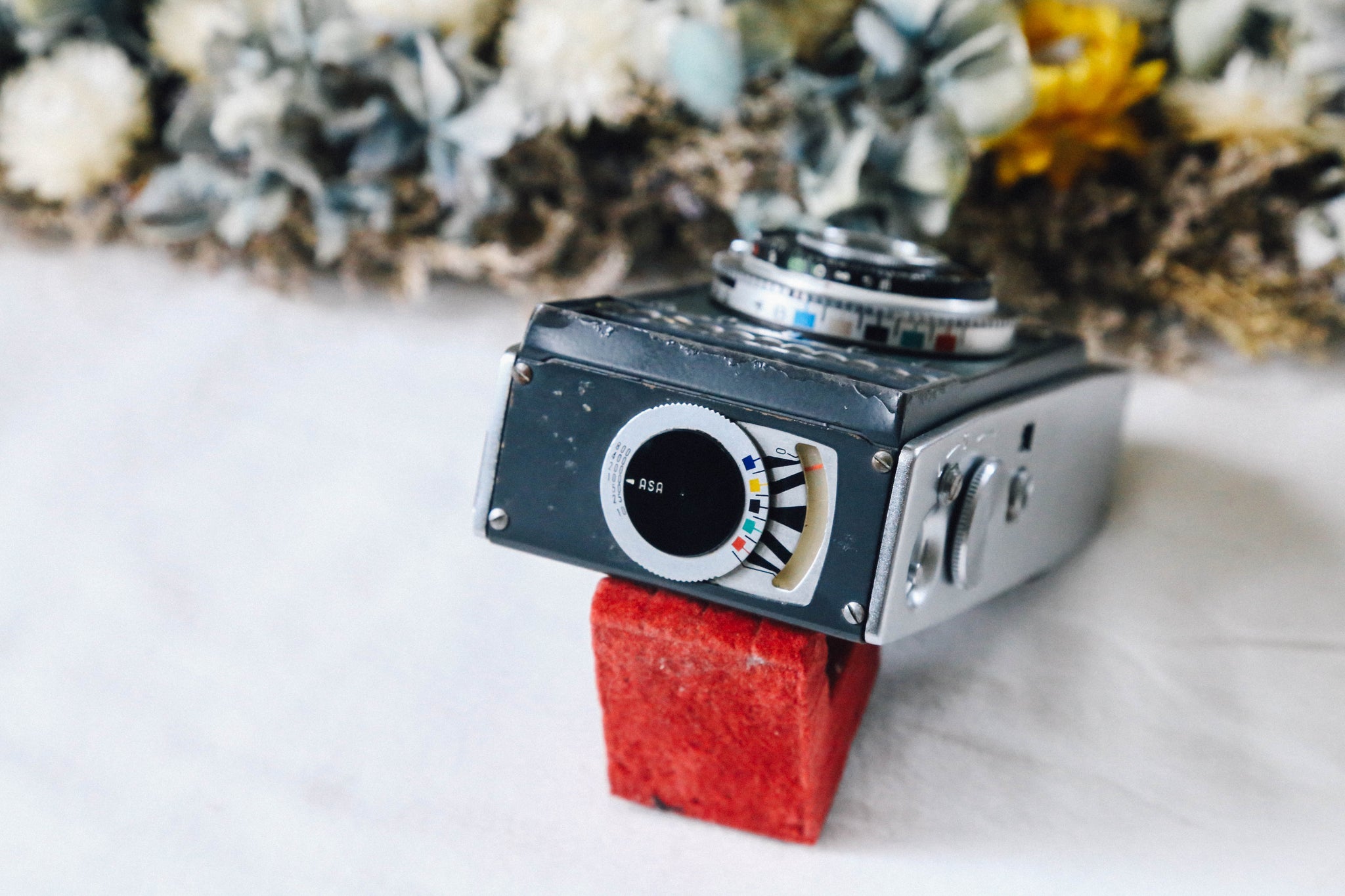 Taron Chic ハーフカメラ 幻のハーフカメラ🦉✨ 幻級の入手困難