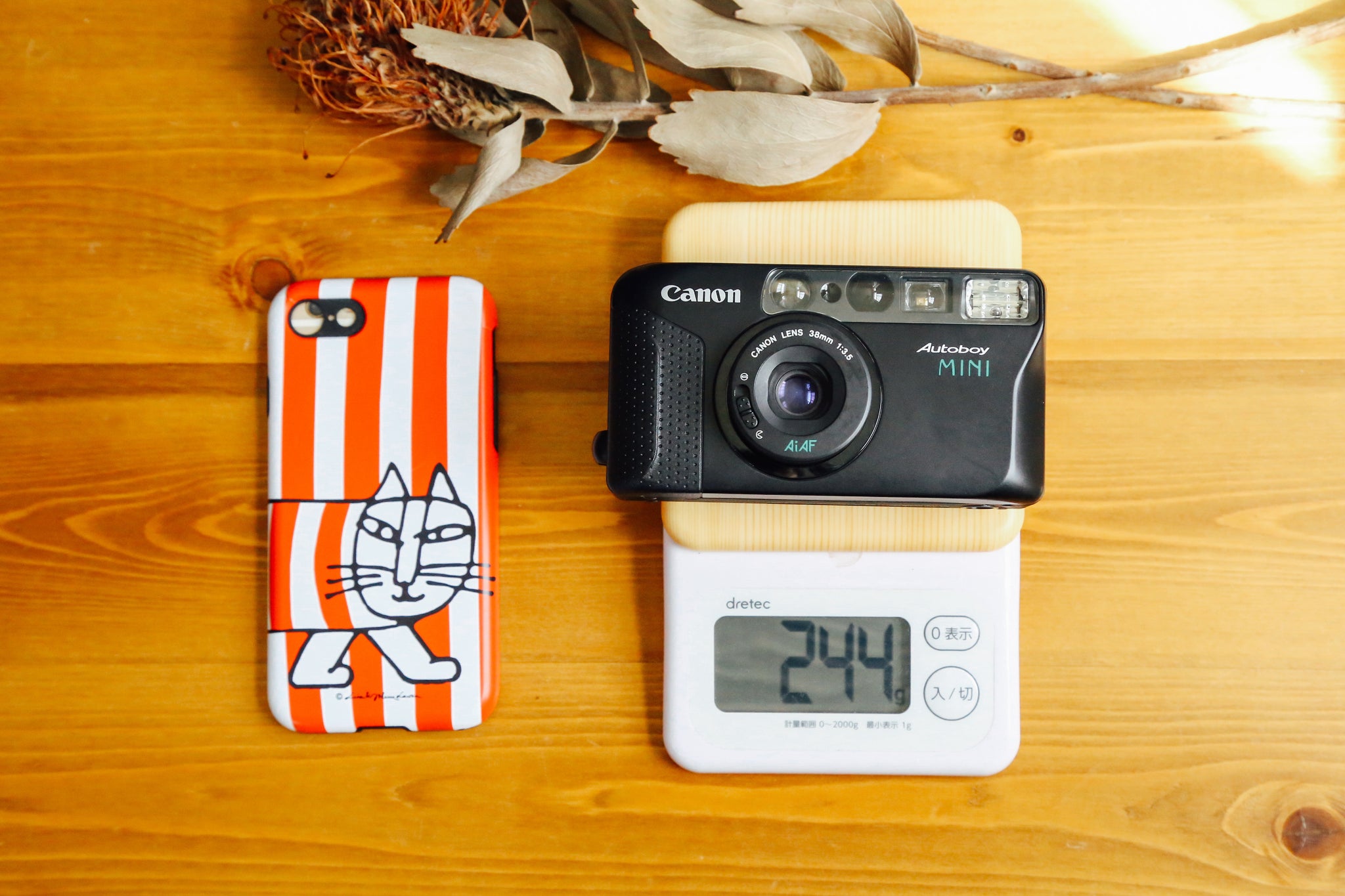Canon Autoboy mini【完動品】 – Ein Camera