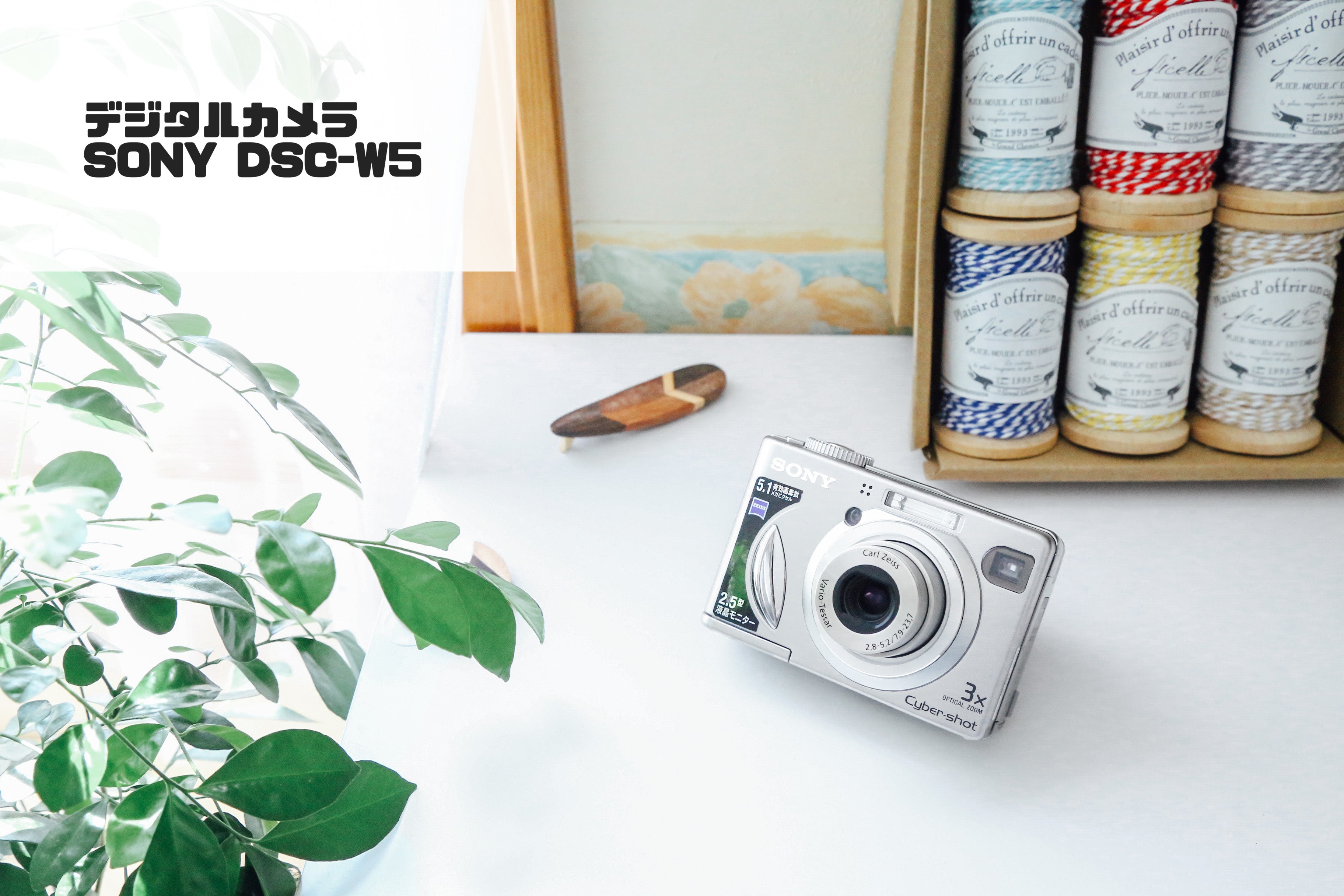 SONY Cyder-Shot DSC-W5【完動品】【実写済み❗️】カールツァイス 