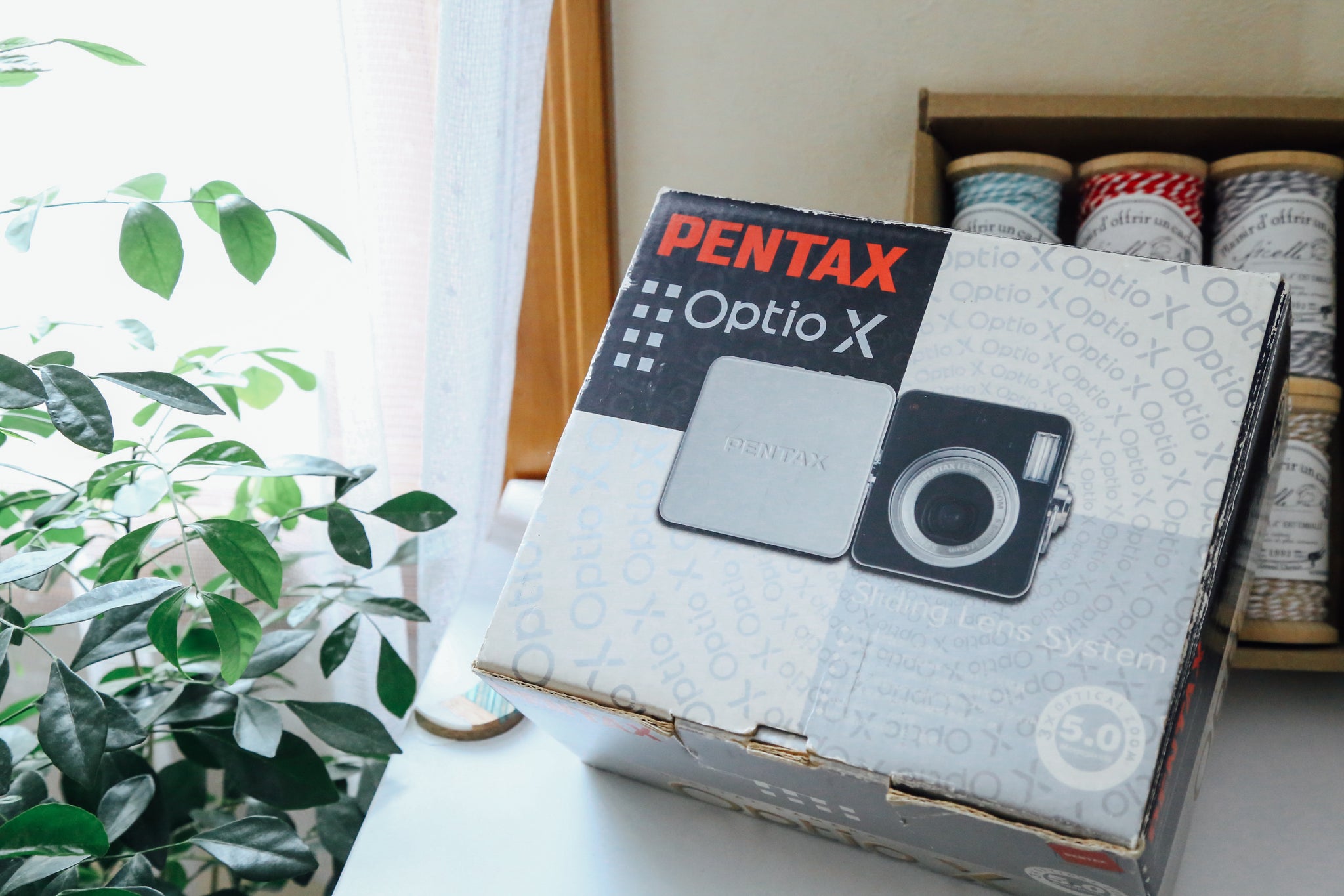 PENTAX Optio X【希少❗️】【完動品】【実写済み！】▪️オールド
