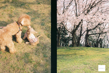 Load image into Gallery viewer, OLYMPUS PEN EF Cherry Blossom🦩【完動品】フラッシュ付きハーフカメラ
