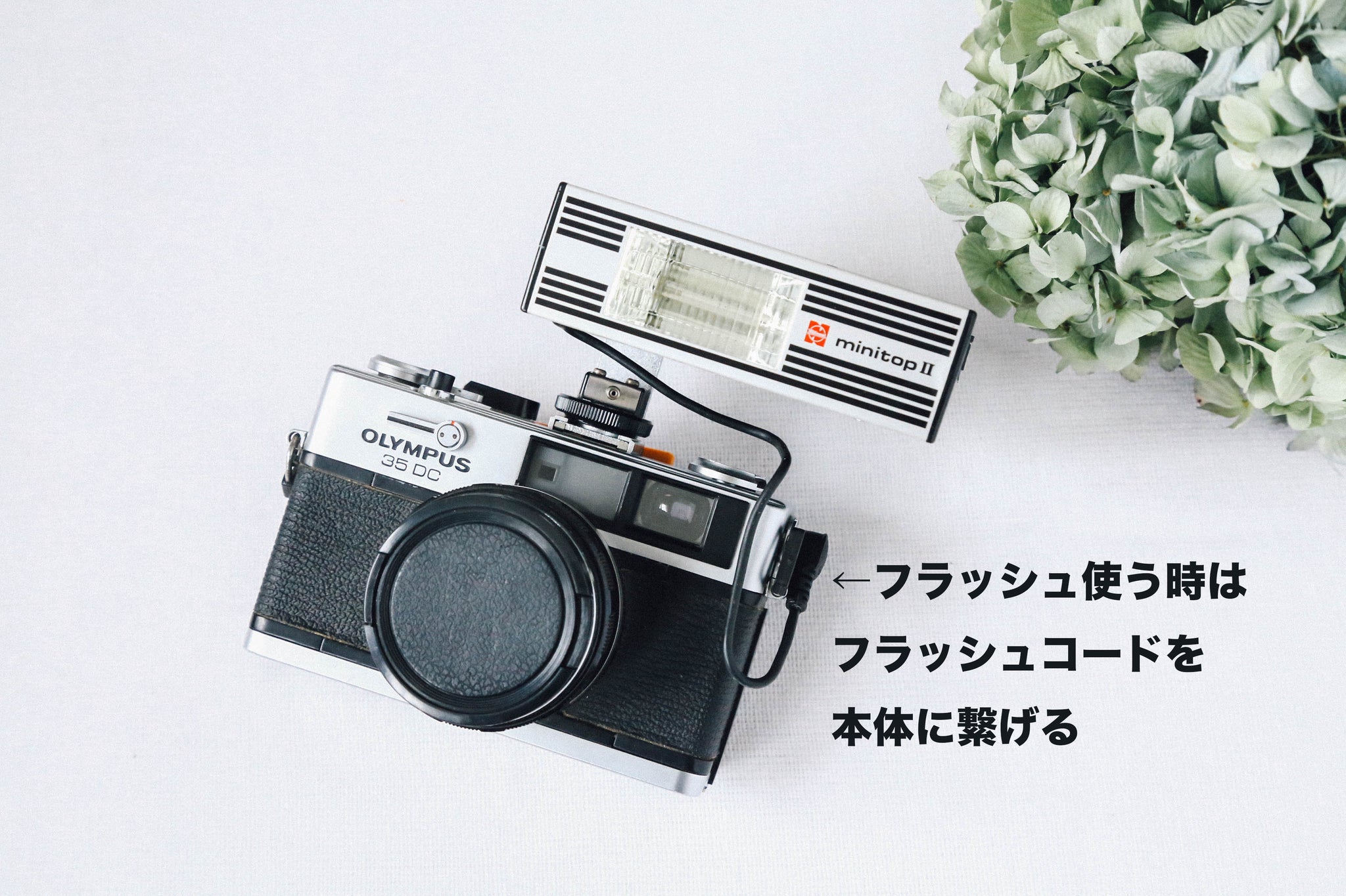 OLYMPUS 35DC (動作美品) 4 温う