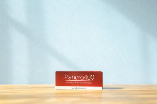 pancro400 120film eincamera
