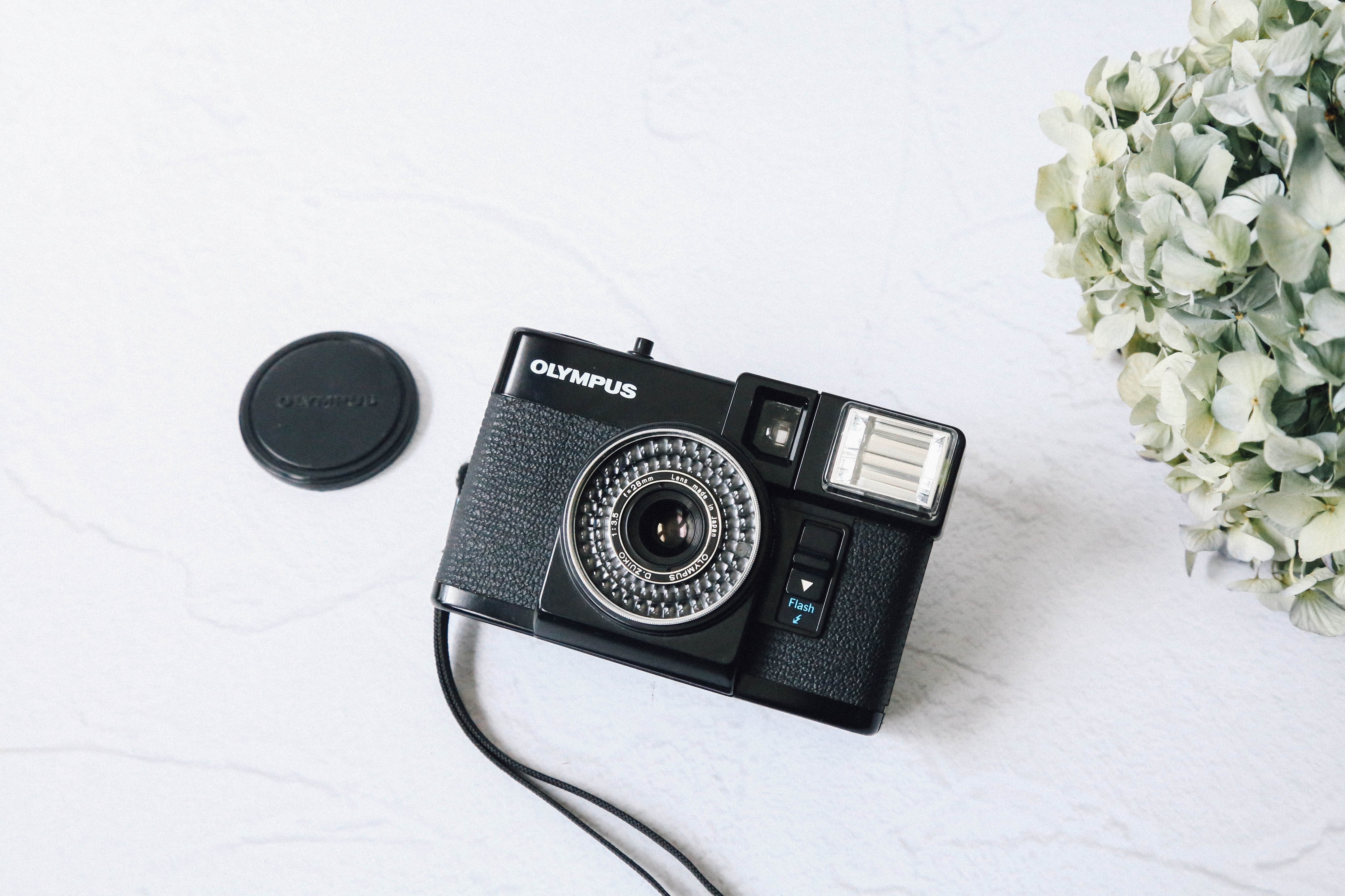OLYMPUS PEN EF【ハーフ界のダブルスター！】 | ナツソマレ