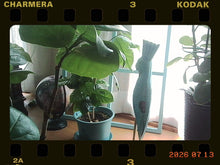 Load image into Gallery viewer, Kodak 1987 レッド【完動品/ほぼ未使用✨】人気カラー❤️▪️キーチェーンデジタルカメラ
