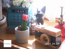 画像をギャラリービューアに読み込む, Konicaminolta DiMAGE X1 シルバー【完動品✨/希少CCDコンデジ📸】▪️オールドコンデジ▪️デジタルカメラ
