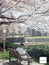 画像をギャラリービューアに読み込む, KONICA MINOLTA DiMAGE X31｜単三電池対応🔋 フィルムっぽい写りが好きならコレ❗️ オールドコンデジ【完動品】
