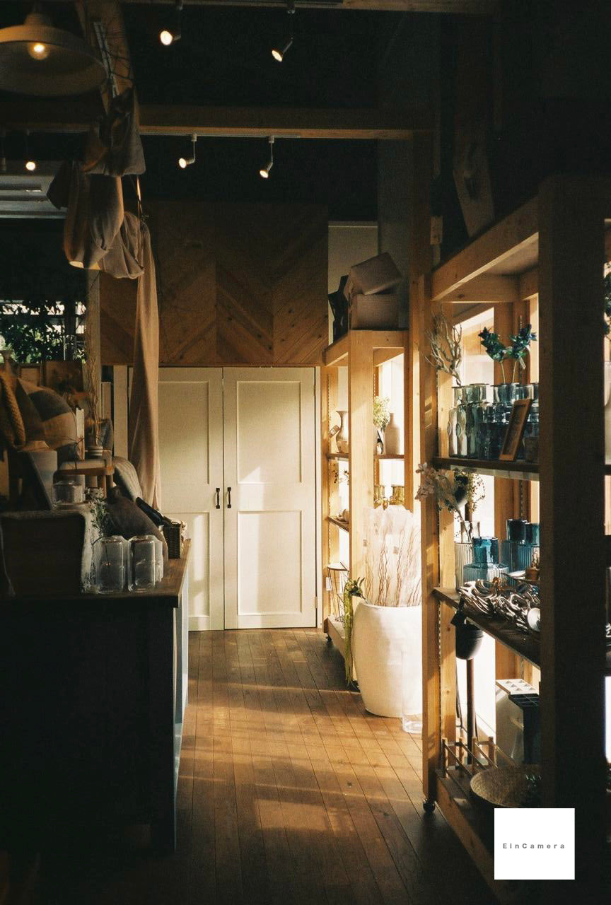 CHINON multi focus auto3001【激レア❗️】【動作品】【実写済み