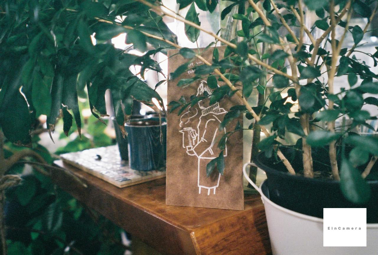 FUJIFILM NATURA1600 (35mmフィルム) カラーネガフィルム 36枚