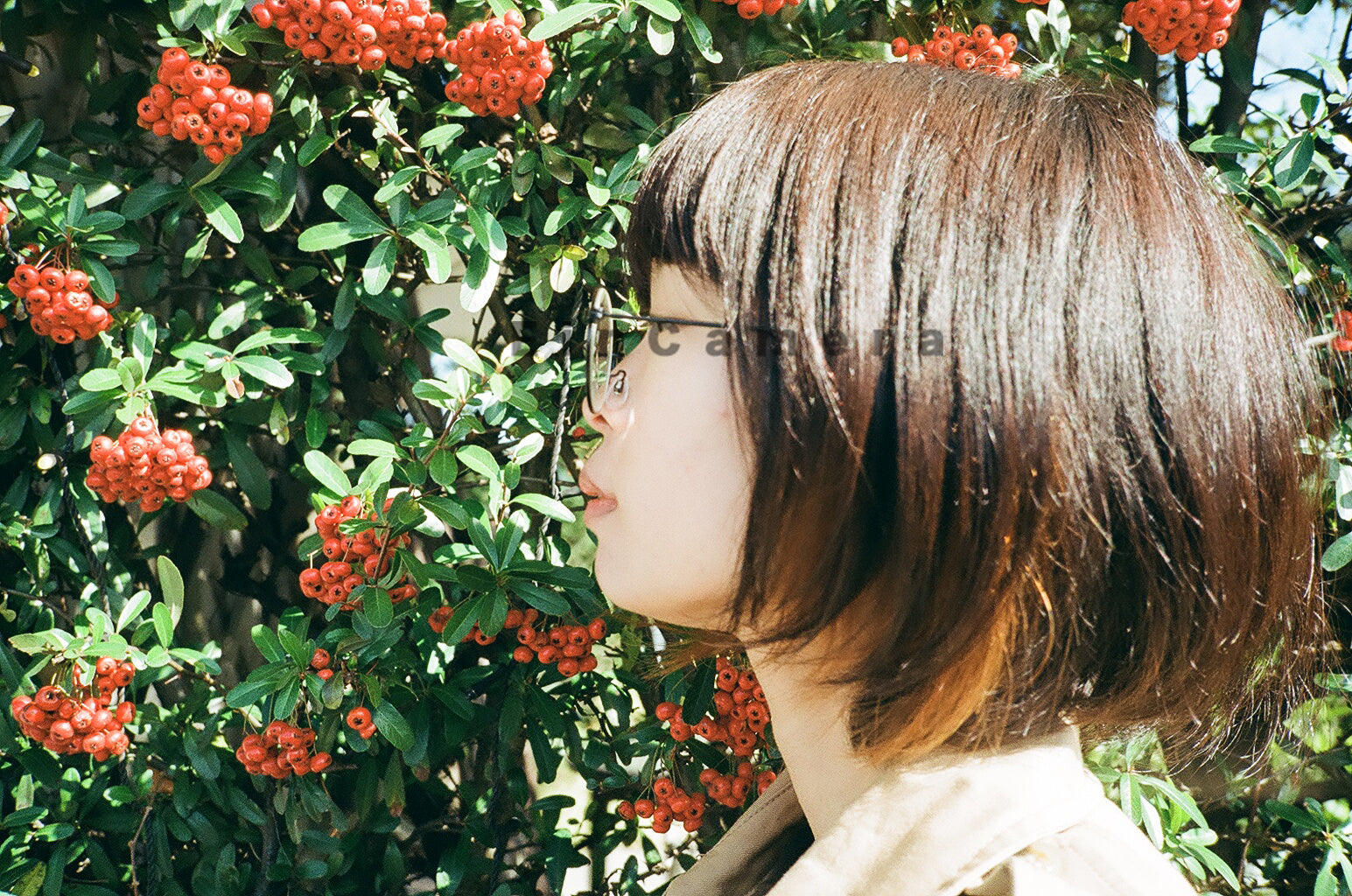 【完動品】作例あり　Konica Big mini A4　ビッグミニ 作例あり》Konica big mini A4 コニカ ビッグミニ