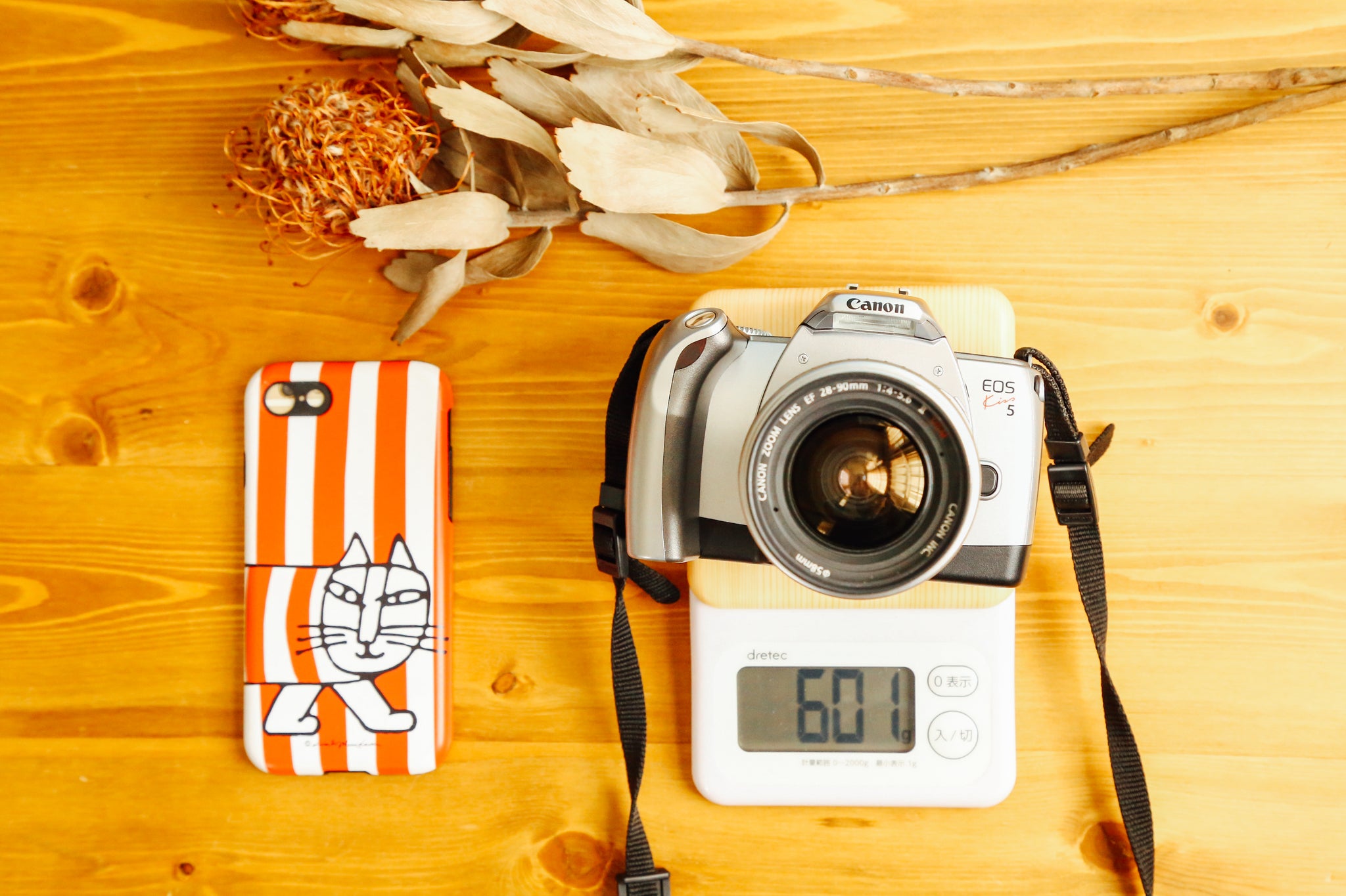 Canon kiss5【完動品】【美品】 – Ein Camera