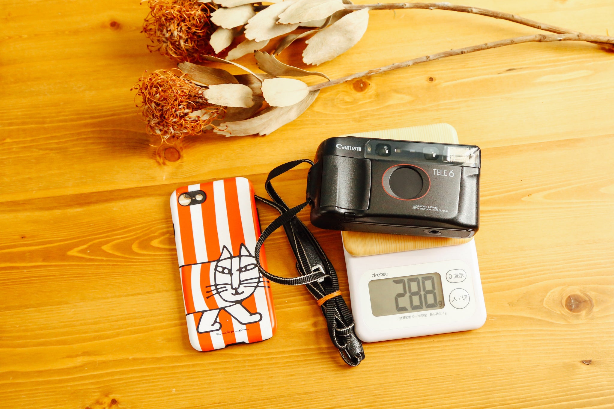 Canon Autoboy TELE6【完動品】 – Ein Camera