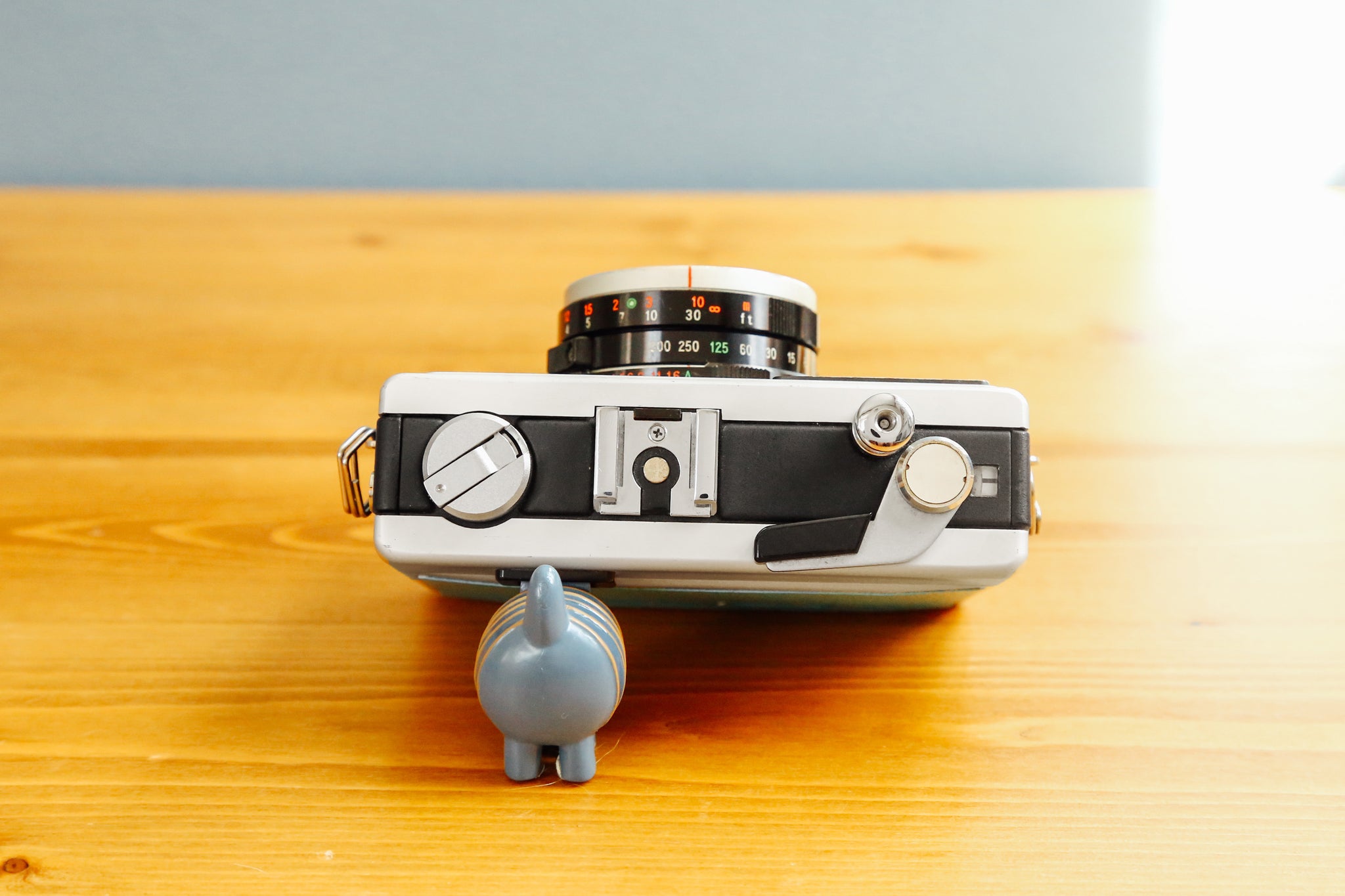 RICOH 500GS ピコターノ🦜【完動品】 – Ein Camera