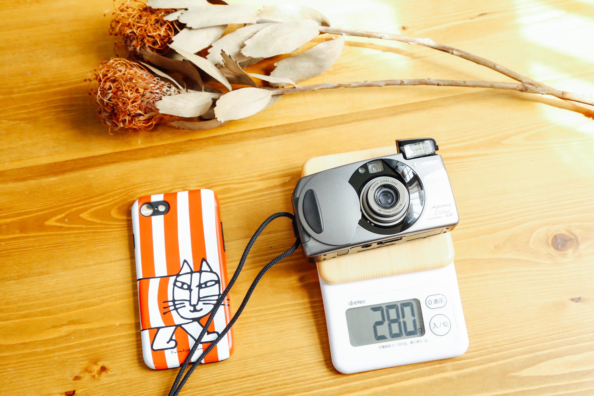 Canon - 【動作確認済】 Canon Autoboy Luna F0221-21-10x 完動品】Canon Autoboy Luna フィルムカメラ 動作確認済 - メルカリ