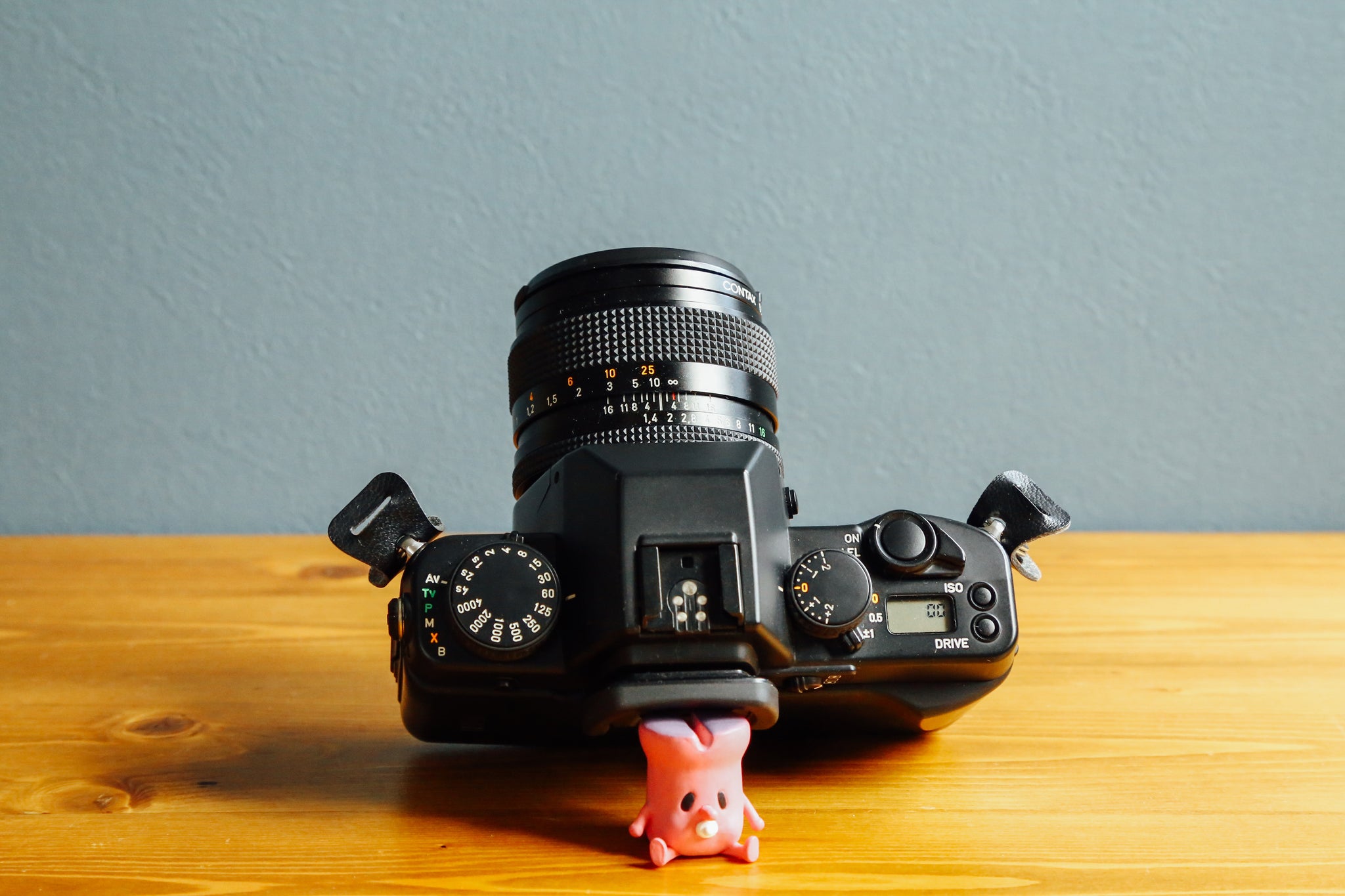 CONTAX Aria 【完動品】【実写済み】 – Ein Camera