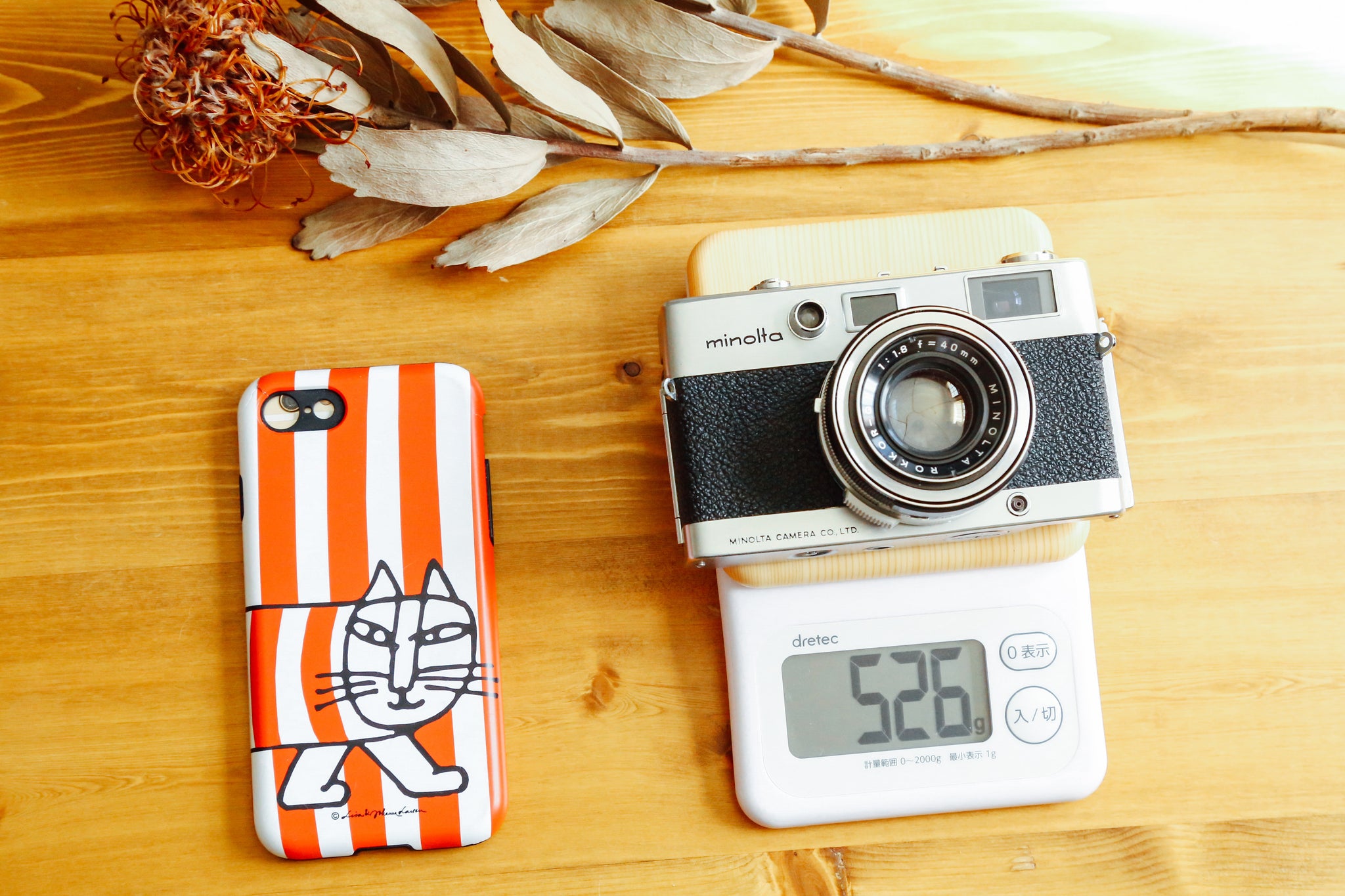 完動品】MINOLTA ALS – Ein Camera