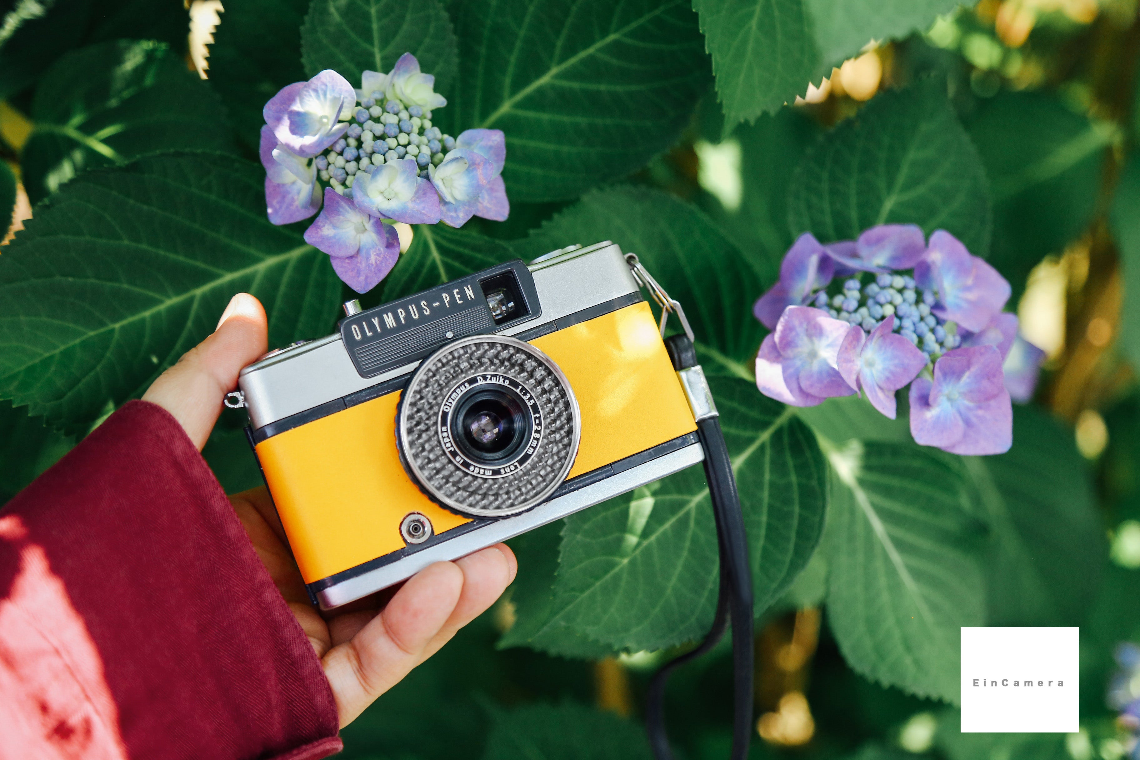 入荷now 安全 PEN OLYMPUS EE-2 Camera Ein – ハチミツ🍯【完動品】 フィルムカメラ