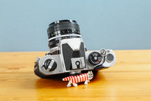 画像をギャラリービューアに読み込む, Nikon FM(SV)【完動品】露出計が簡単❗️初心者の方にもおすすめカメラ◎
