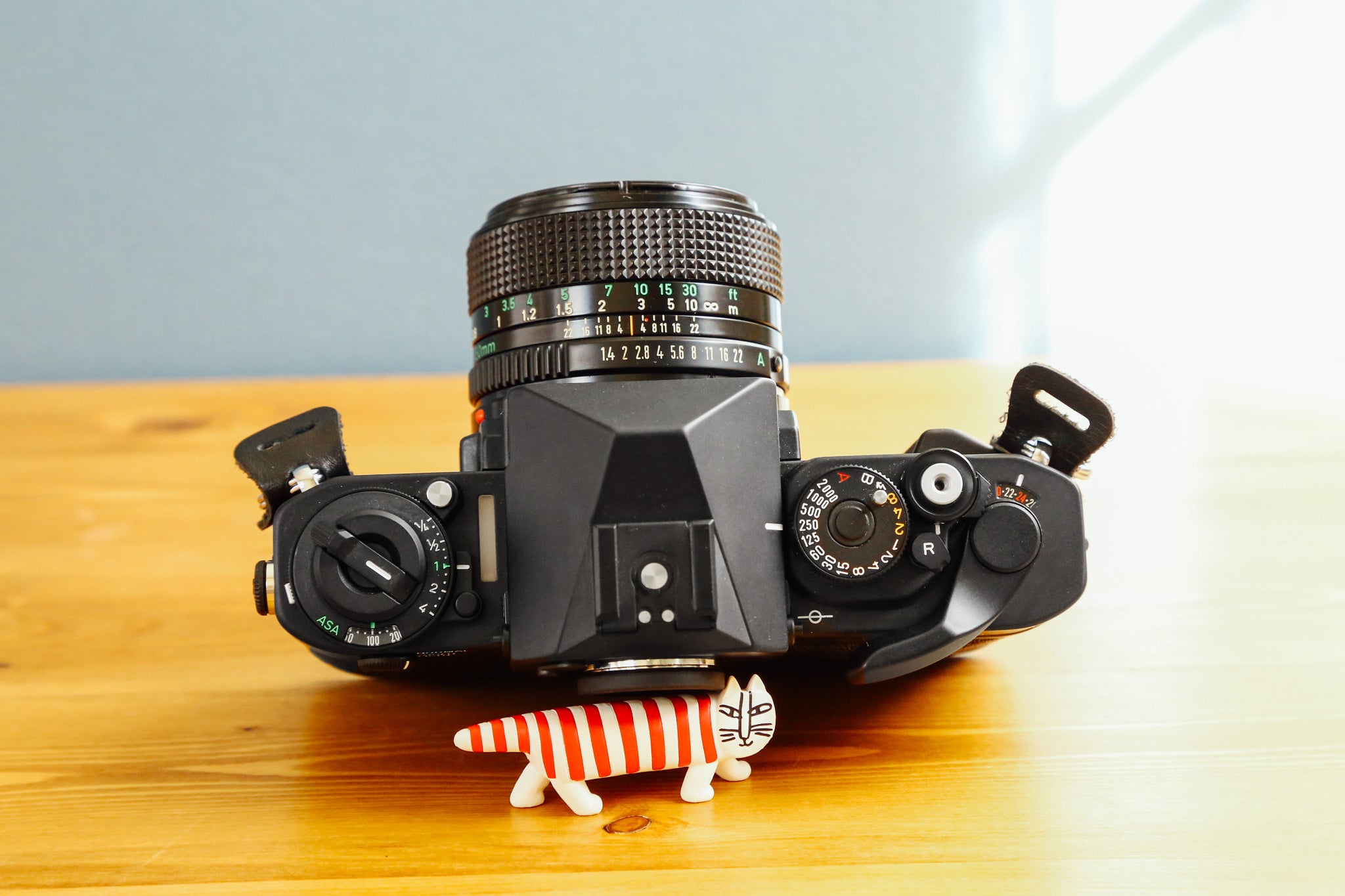 Canon New F-1 【美品】【完動品】【実写済み】 – Ein Camera