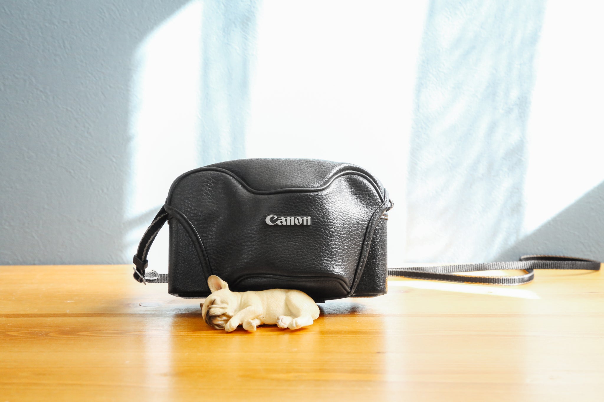 【完動品 美品】Canon Autoboy SII 動作確認済 純正ケース付き Canon Autoboy SII【完動品】 – Ein Camera