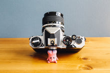 画像をギャラリービューアに読み込む, Nikon FE
