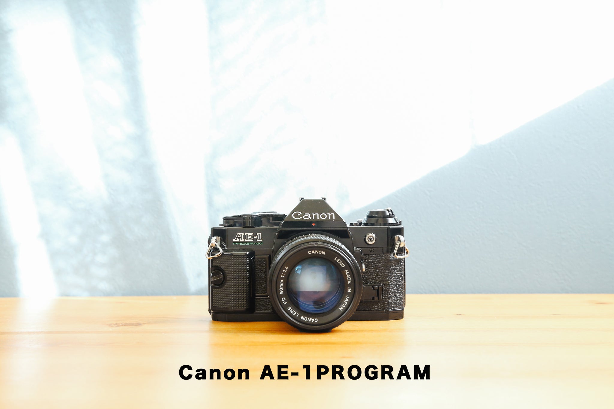 CanonAE1+program