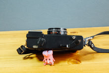 画像をギャラリービューアに読み込む, Konica C35EF
